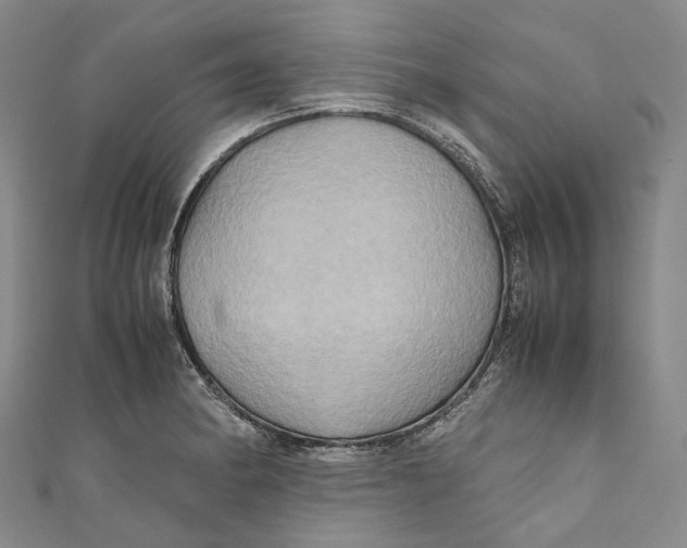 X0000110971182200907101342