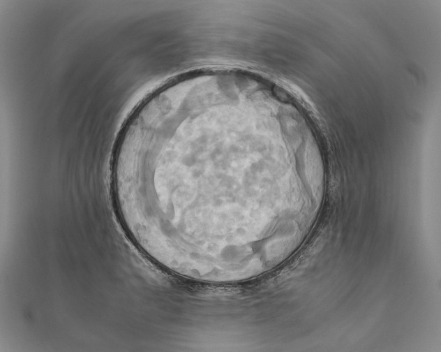 X0000110971183200907101342