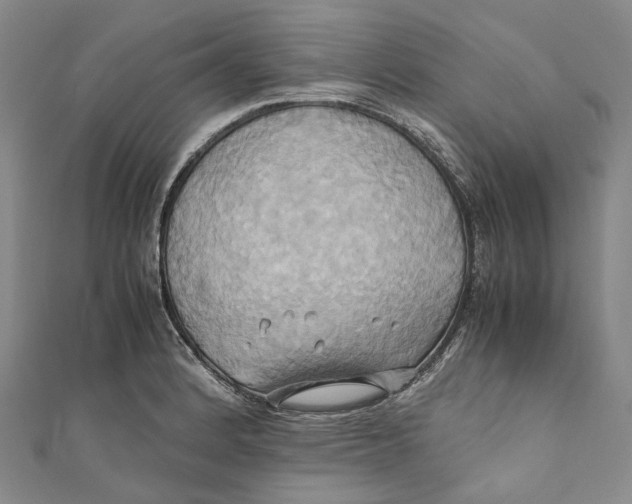 X0000110971184200907101342