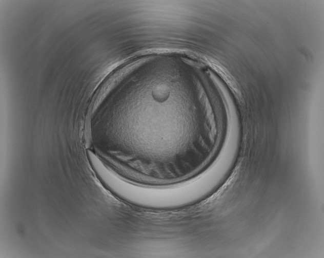 X0000110971185200907101342