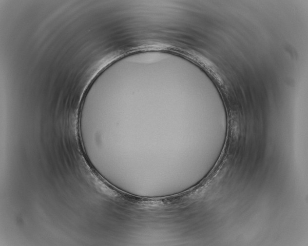 X0000110971186200907101342