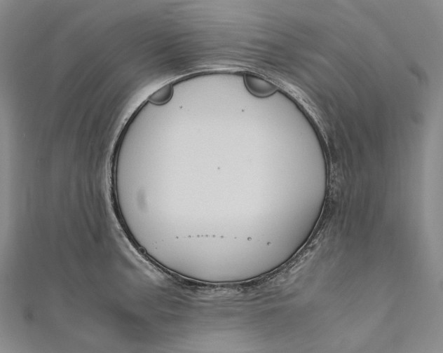 X0000110971187200907101342