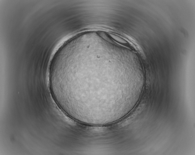 X0000110971188200907101342