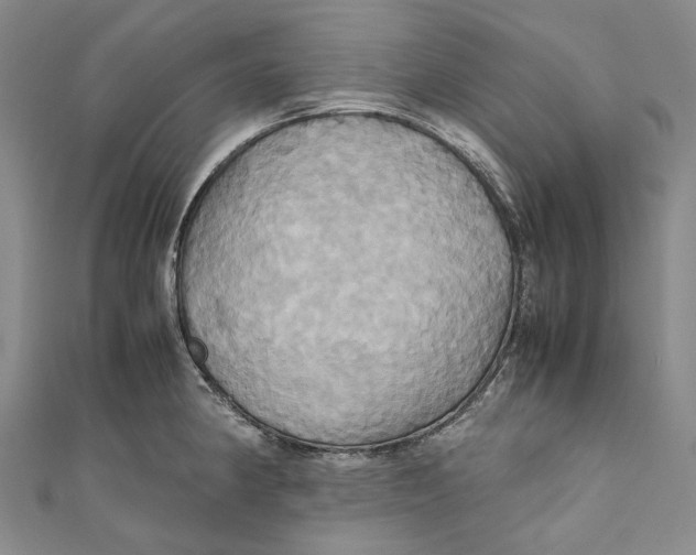 X0000110971190200907101342