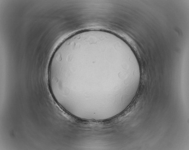 X0000110971191200907101342