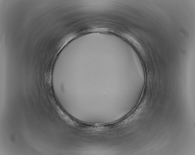 X0000110971193200907101342