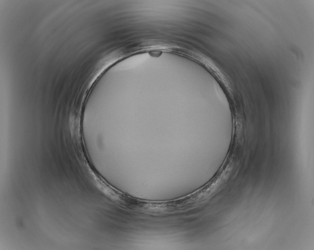 X0000110971194200907101342