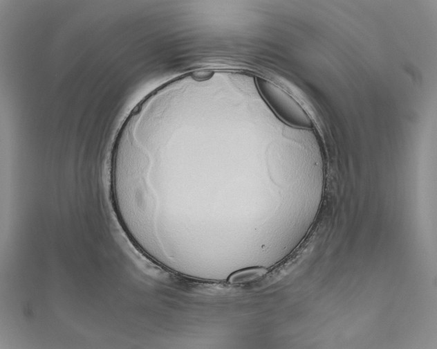 X0000110971195200907101342