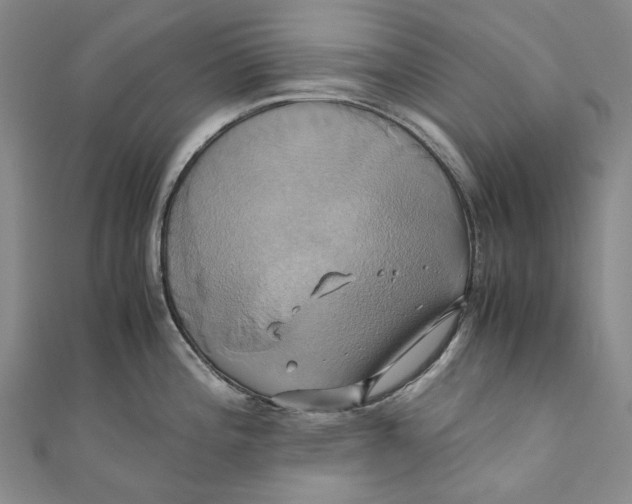 X0000110971196200907101342