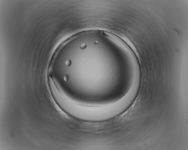 X0000110971197200907101342