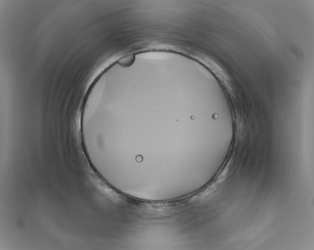 X0000110971198200907101342