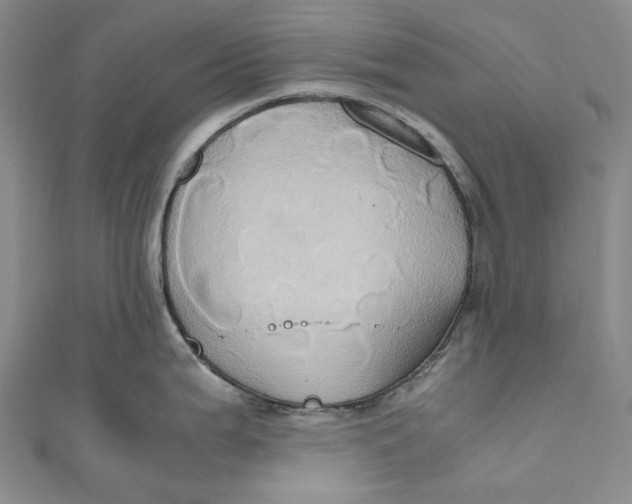 X0000110971199200907101342