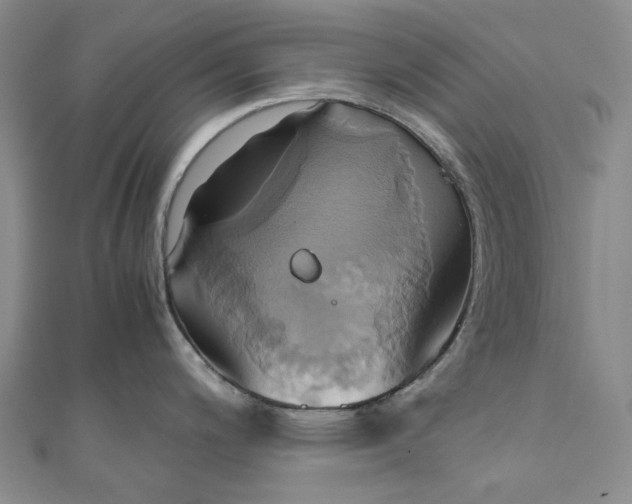 X0000110971200200907101342