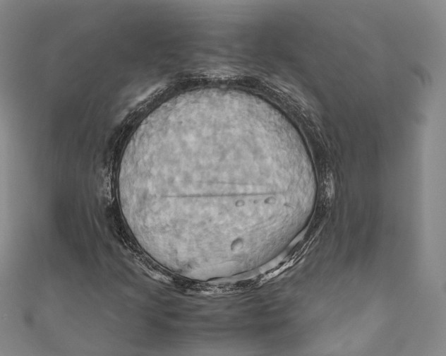 X0000110971205200907101342