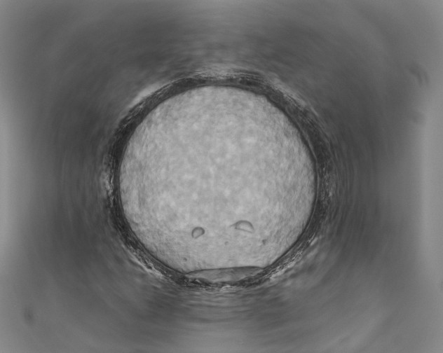 X0000110971206200907101342