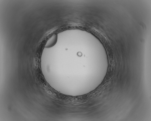 X0000110971207200907101342