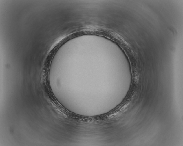 X0000110971208200907101342