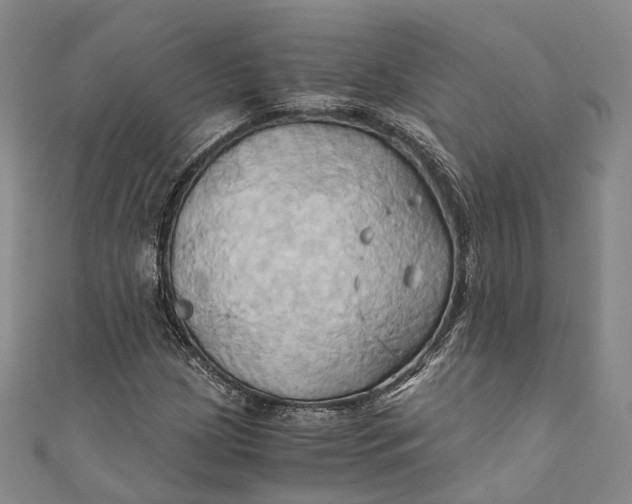 X0000110971209200907101342