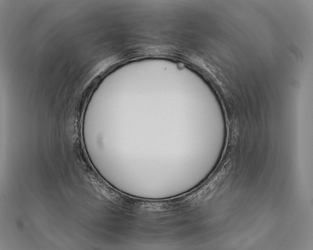 X0000110971211200907101342