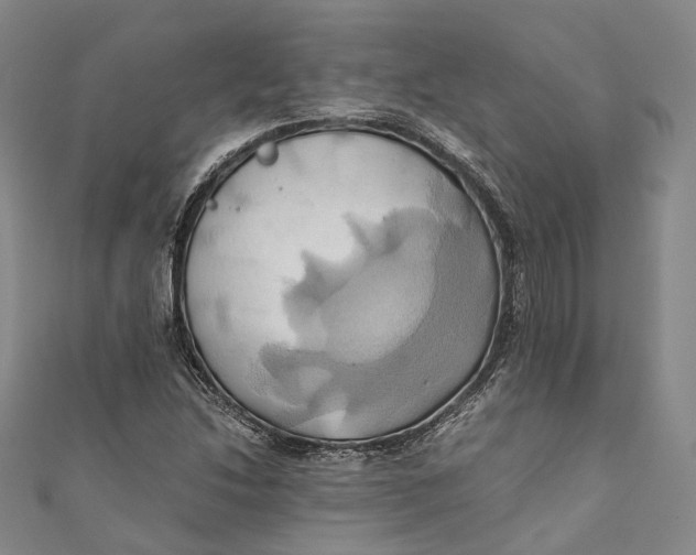 X0000110971214200907101342