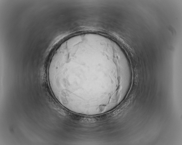 X0000110971215200907101342