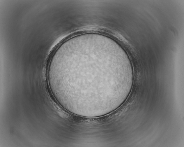 X0000110971216200907101342