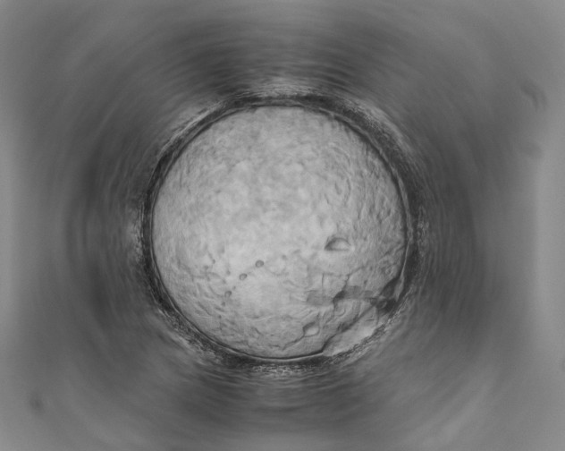 X0000110971217200907101342