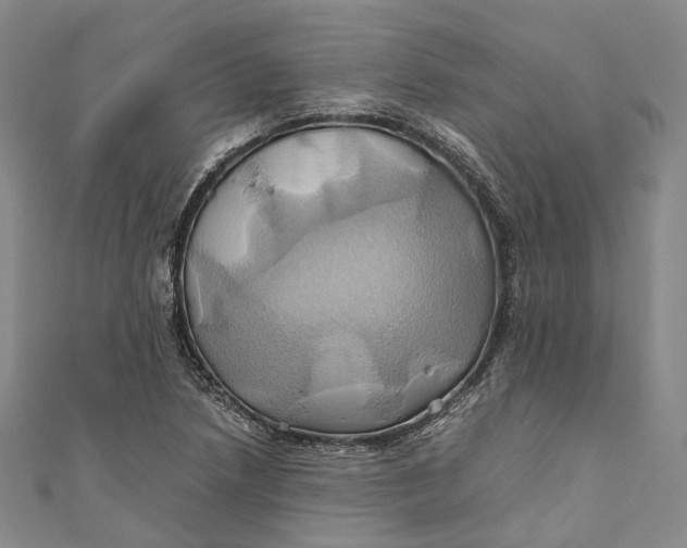 X0000110971218200907101342