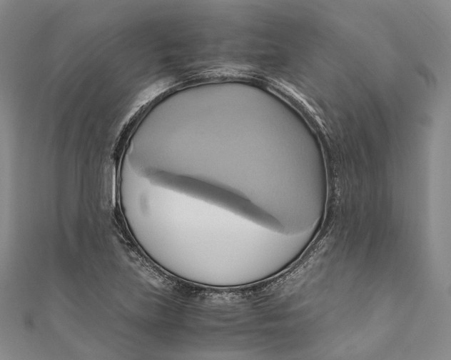 X0000110971219200907101342