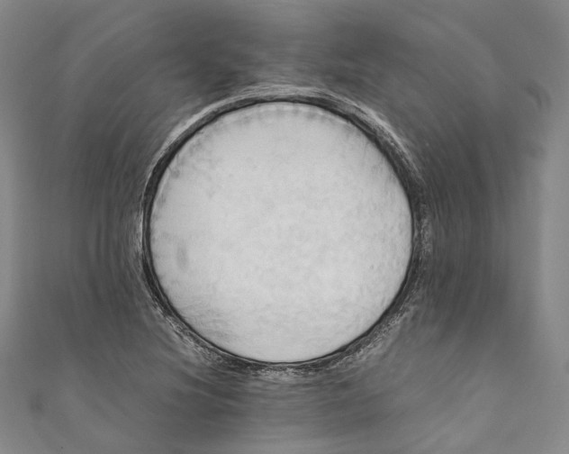 X0000110971220200907101342