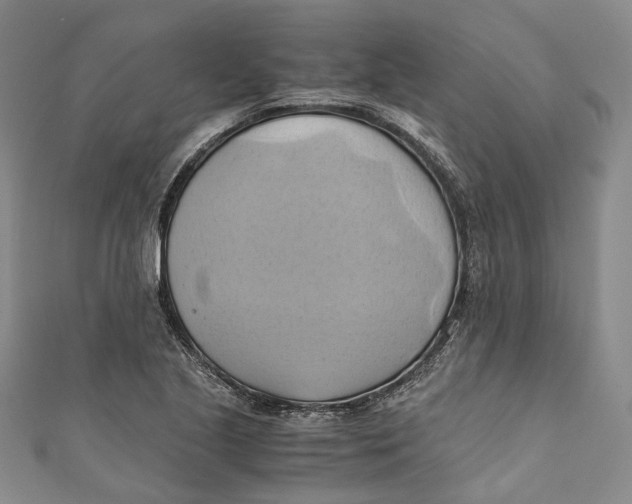 X0000110971221200907101342