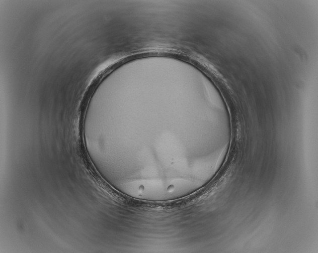 X0000110971222200907101342