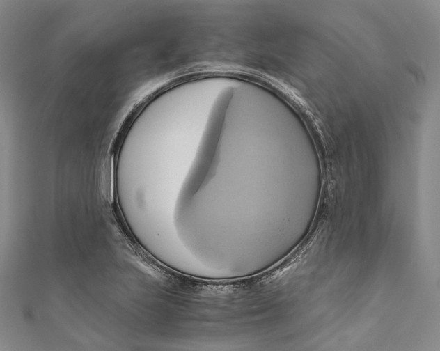 X0000110971223200907101342