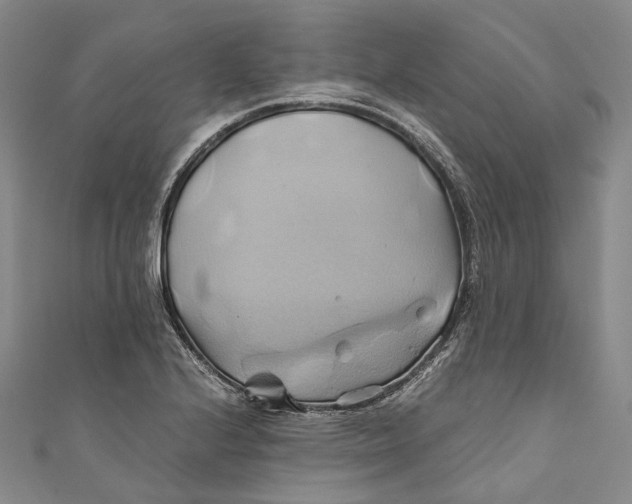 X0000110971224200907101342