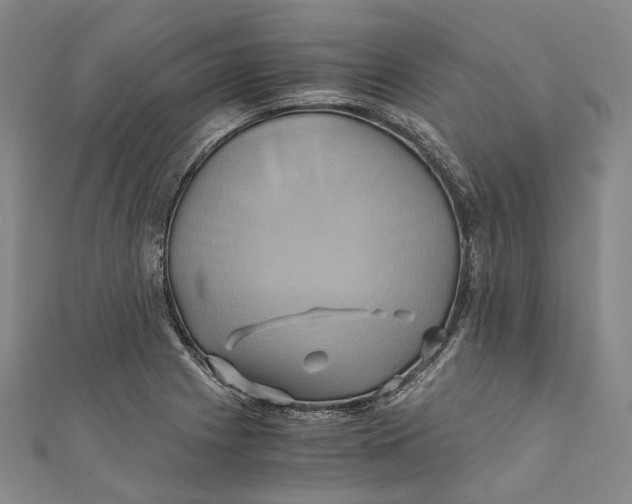 X0000110971225200907101342