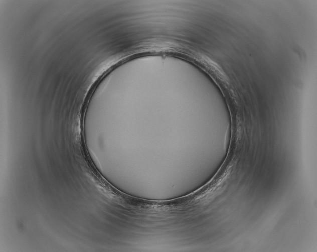 X0000110971226200907101342