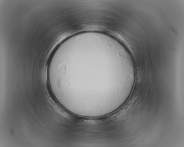 X0000110971227200907101342