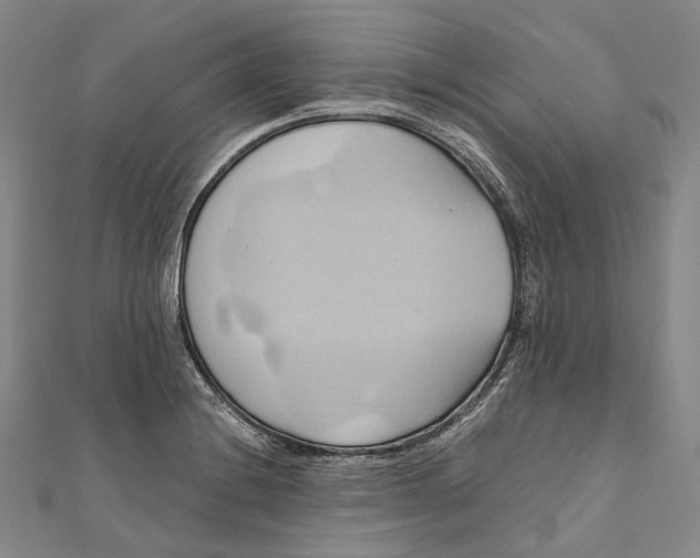 X0000110971228200907101342