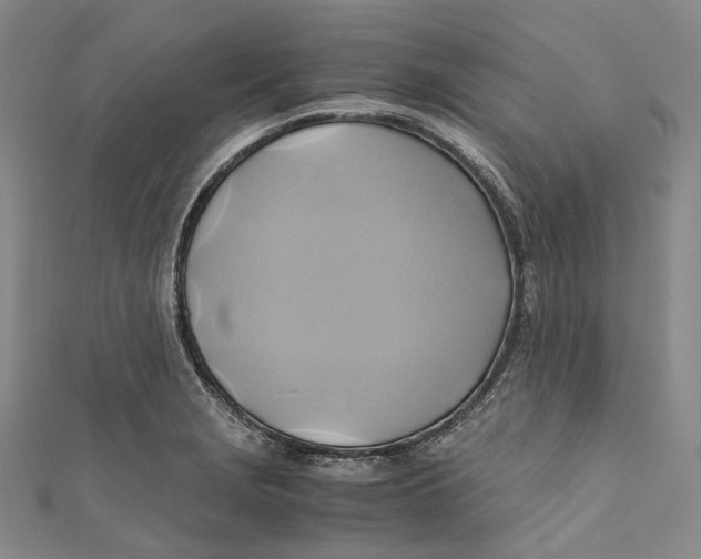 X0000110971229200907101342