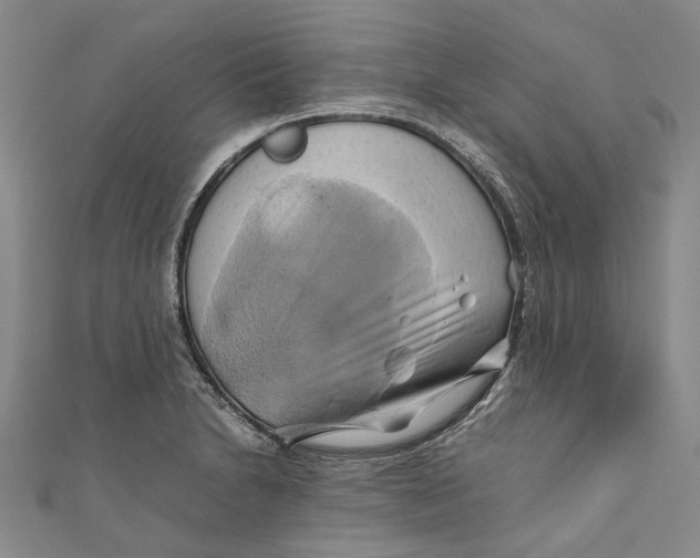 X0000110971230200907101342