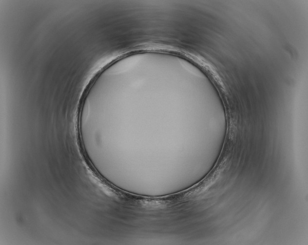 X0000110971231200907101342