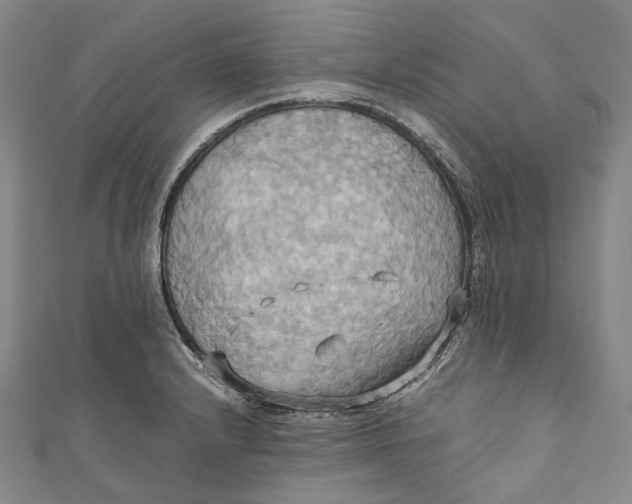 X0000110971232200907101342