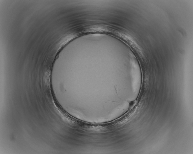 X0000110971233200907101342