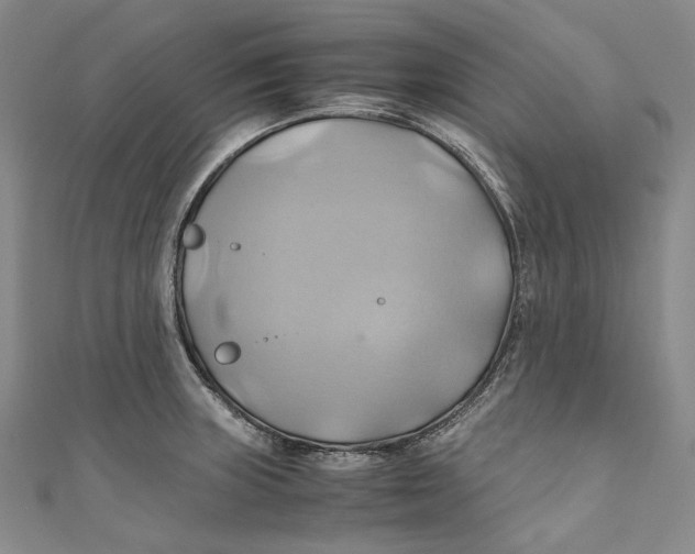 X0000110971235200907101342