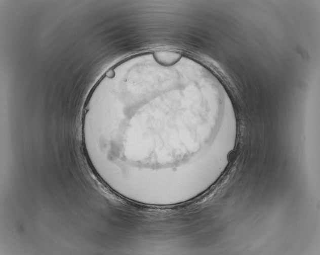 X0000110971236200907101342