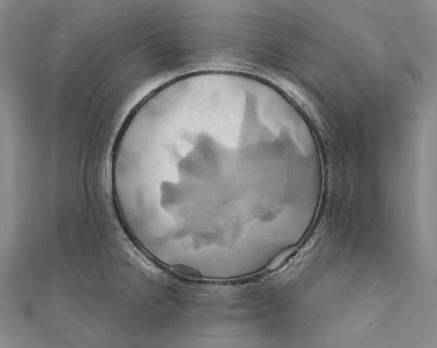 X0000110971238200907101342