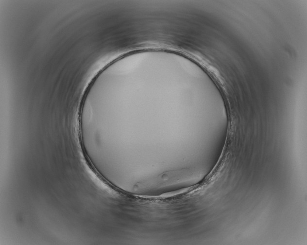 X0000110971239200907101342