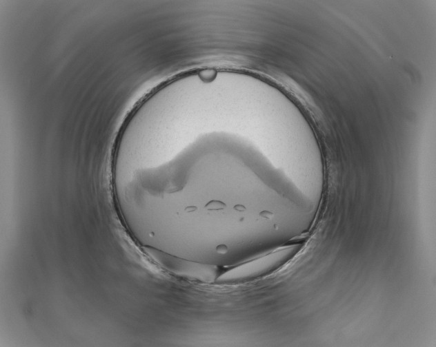 X0000110971240200907101342