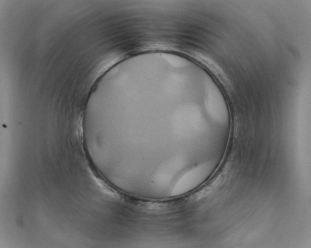 X0000110971241200907101342