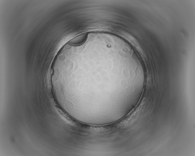 X0000110971242200907101342